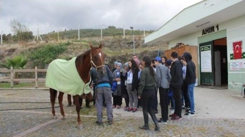 Lise &Ouml;ğrencileri Meslekleri Tanıyor