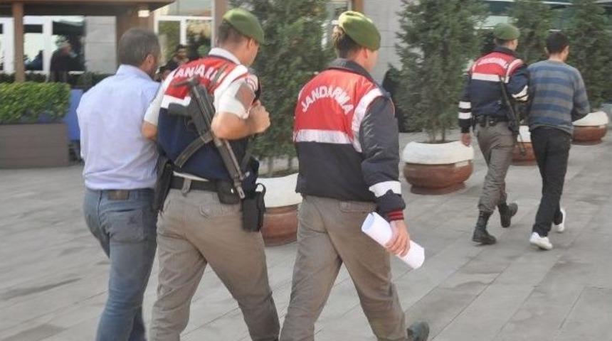 210 Kilo Armudu Yemek İ&ccedil;in &Ccedil;almışlar