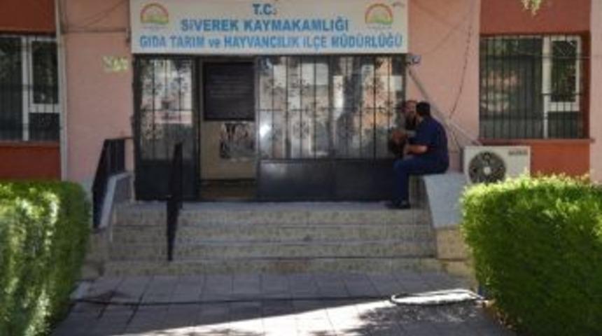 Siverek&rsquo;te Kuduz Ş&uuml;phesi Nedeniyle Mahalle Karantinaya Alındı