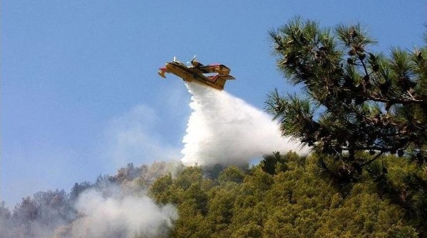 Aydın Ve Muğla&rsquo;da 300 Orman Yangını &Ccedil;ıktı