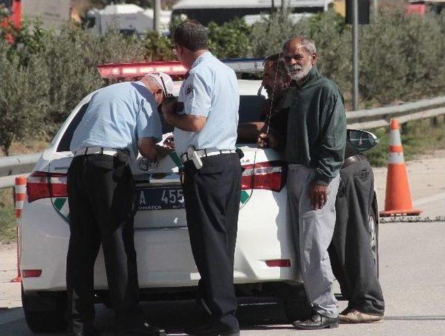 Polisin Durdurduğu Tır’ın Kasasından 35 At Çıktı