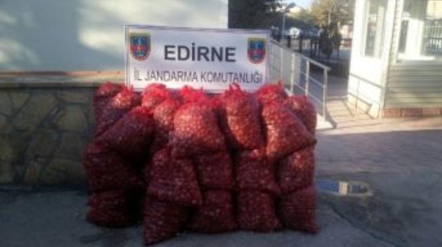 Edirne’de 40 Bin Tl’lik Kum Midyesi Ele Geçirildi