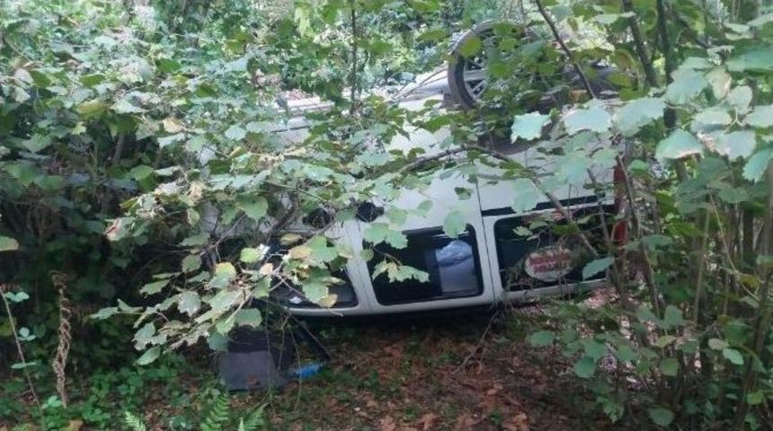 Kamyonet Fındık Tarlasına U&ccedil;tu: 1 Yaralı