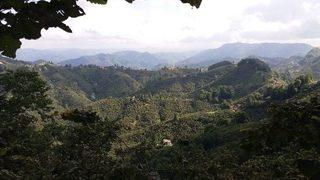 Fındıkta Destekleme Müracaatları 31 Aralık’ta Sona Eriyor