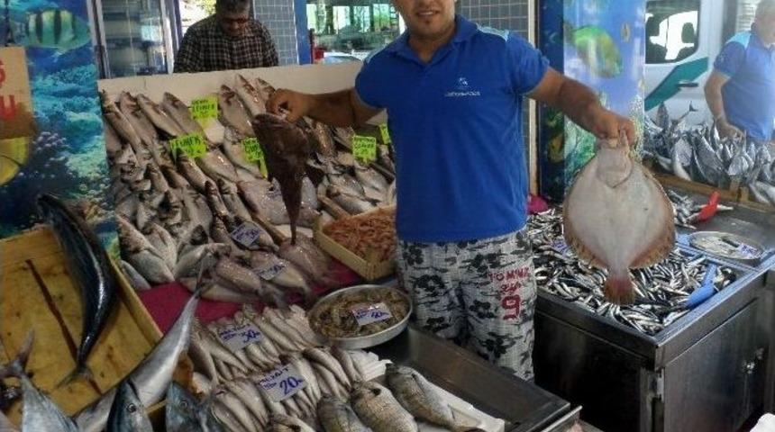 Balık Fiyatları D&uuml;şt&uuml;, Vatandaşın Y&uuml;z&uuml; G&uuml;ld&uuml;