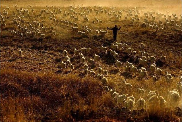 2. Kare Kare Ankara Fotoğraf Yarışması Sonuçlandı