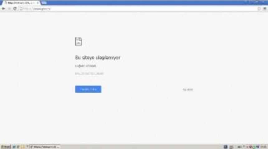 T&uuml;rk Hackerlar, Hollanda Partisini Hedef Aldı