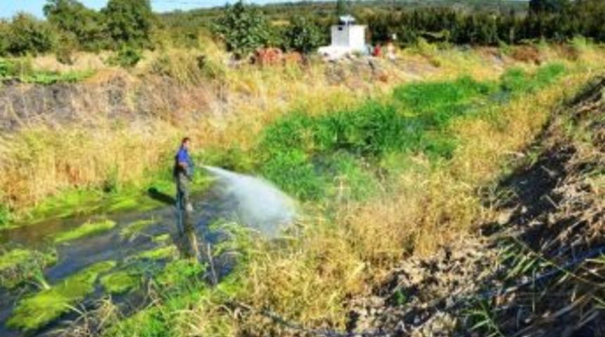 &Ccedil;ınarlı Dere İla&ccedil;lama &Ccedil;alışmaları Devam Ediyor