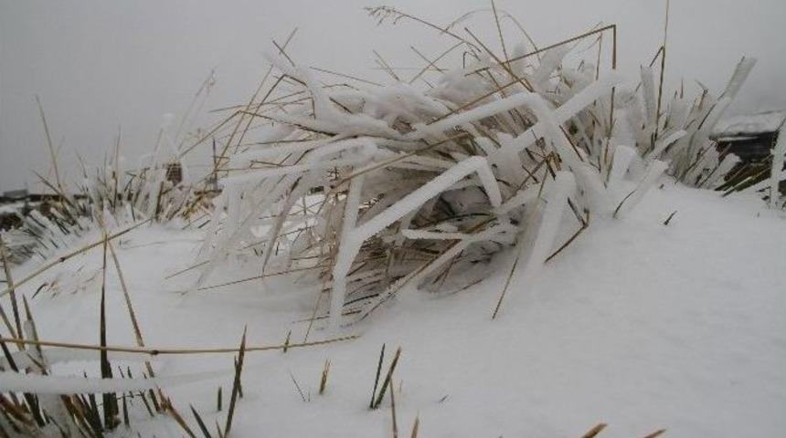 Ardahan&rsquo;ın Y&uuml;ksek Kesimlerine Kar Yağdı