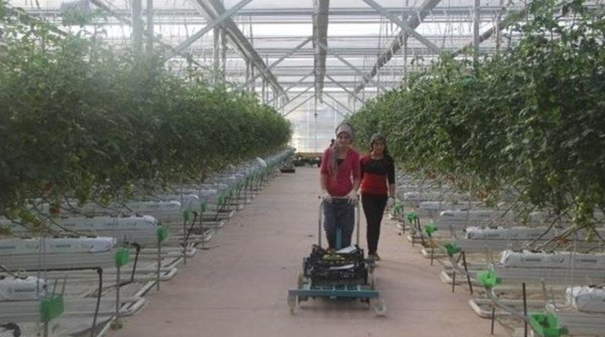 Eksi 46 Derecede Bir İlk