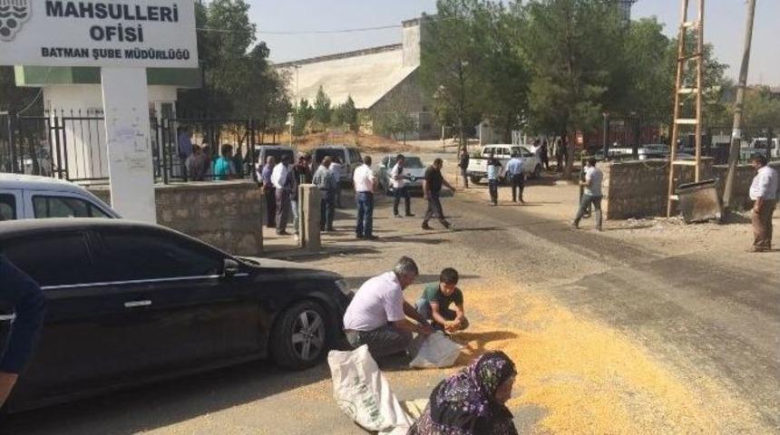 Kamyonlardan D&ouml;k&uuml;len Mısır Tanelerini Topluyorlar