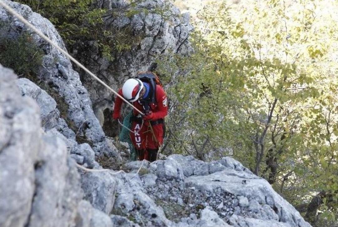 Kurtlardan Ka&ccedil;an Ke&ccedil;iler U&ccedil;urumda Mahsur Kaldı