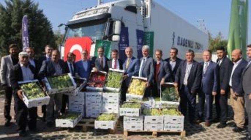 Yenişehir Biberi Hollanda Yolunda