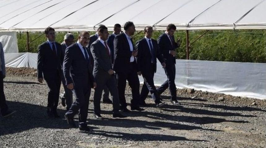 Vali Taşyapan&rsquo;dan G&uuml;neş Enerjili Seralarda İnceleme