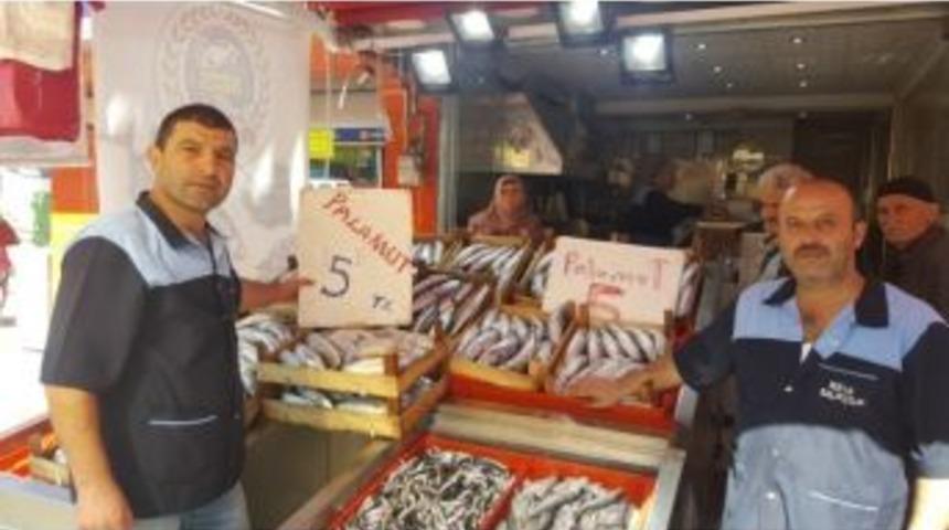 Palamudun Tanesi 5 Liraya D&uuml;şt&uuml;