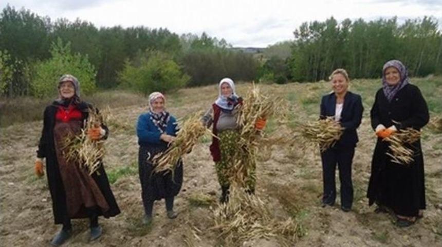 Kırklareli&rsquo;nde Uluslararası Bakliyat Yılı Etkinliği