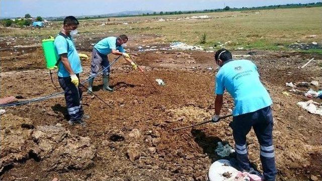 Kurban Kesim Yerleri İlaçlanıyor