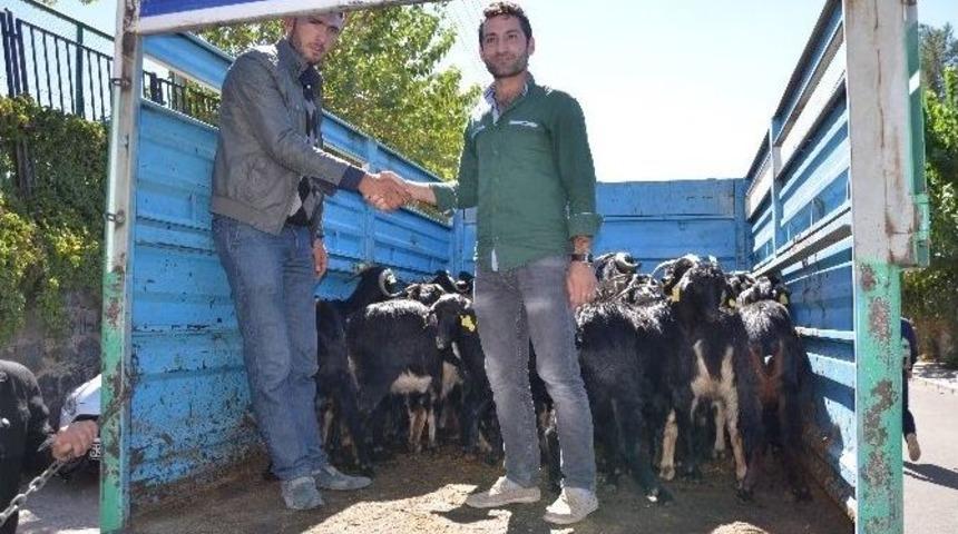 Gen&ccedil; &Ccedil;ift&ccedil;ilere Hibe Desteği Verilmeye Başlandı