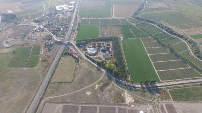 Odunpazarı Belediyesi Fidan &Uuml;retecek