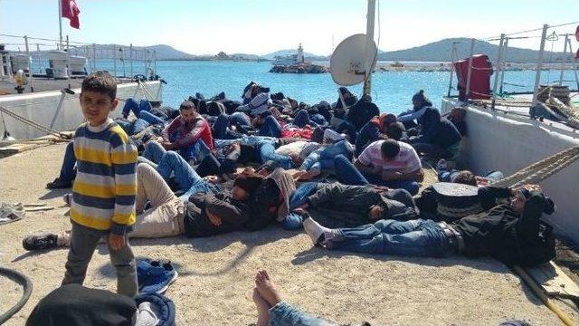 Balıkesir’de 63 Kaçak Göçmen Yakalandı