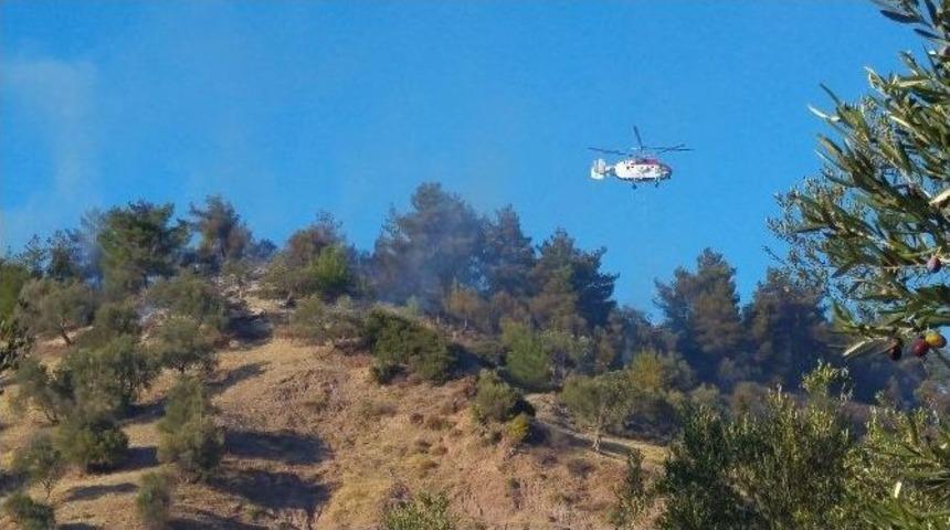 Ayvalık&rsquo;ta Orman Yangını