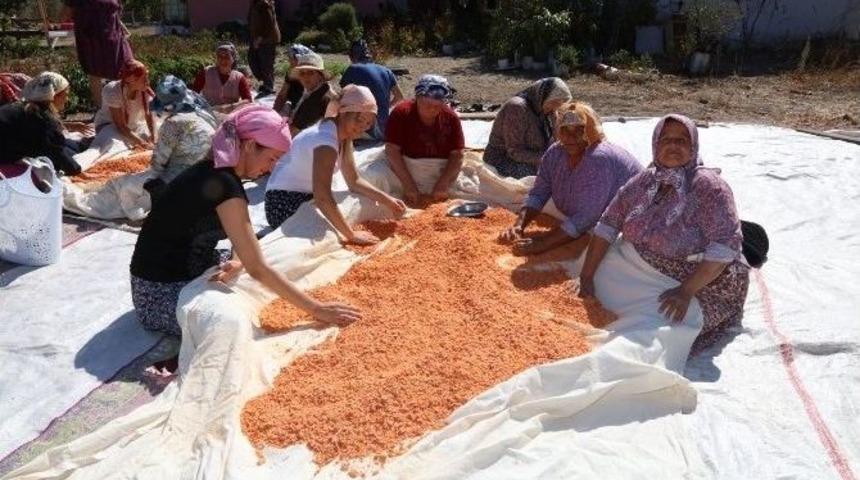 Urlalı Kadınların Dayanışma Tarhanası