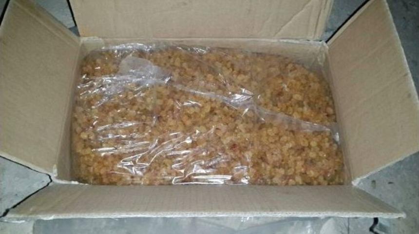 Başkale&rsquo;de 10 Ton Ka&ccedil;ak Kuru &Uuml;z&uuml;m İle Tabanca Yakalandı