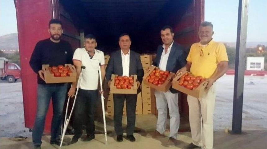 Denizli&rsquo;de &Uuml;retilen Rekortmen Domatesler G&uuml;rcistan&rsquo;a Gitti