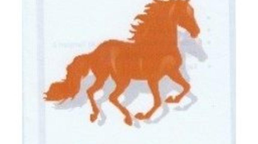 Rahvan At Yarışları Doğu Anadolu Şampiyonası Ardahan&rsquo;da Yapılacak