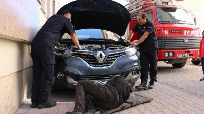 Soğuktan &Uuml;ş&uuml;yen Yavru Kedi, Sığınak Olarak Araba Motorlarını Se&ccedil;ti