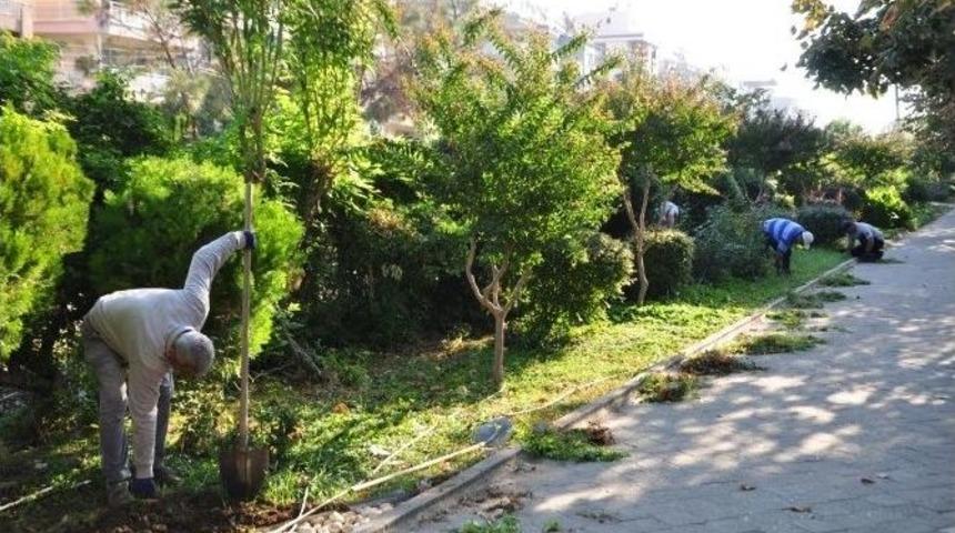 Salihli&rsquo;de Parklara Kış Bakımı Başladı