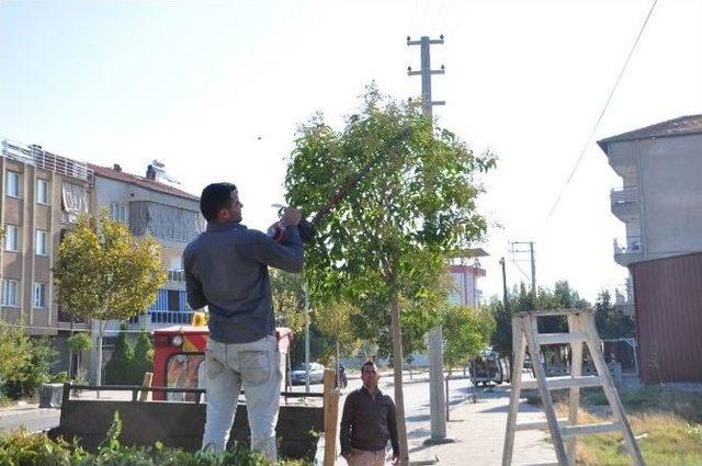 Salihli’de Parklara Kış Bakımı Başladı