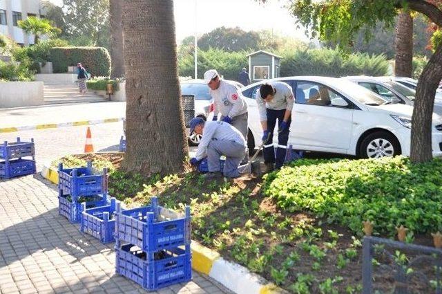 Salihli’de Parklara Kış Bakımı Başladı