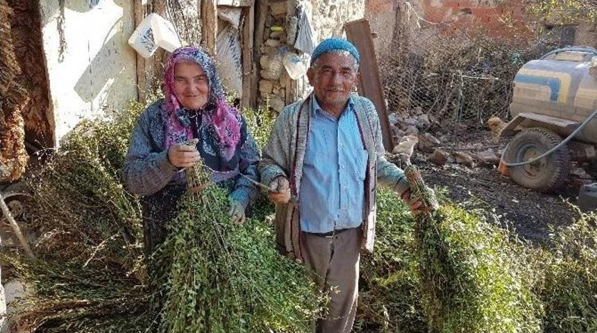 Teknolojiye Yenilmeyen S&uuml;p&uuml;rge