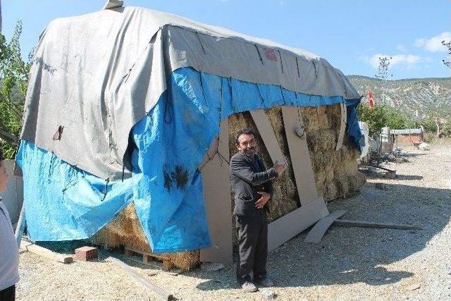 Yeni Köylerinde Ahır Olmayınca, Buzağılarına Evlerinde Bakıyorlar