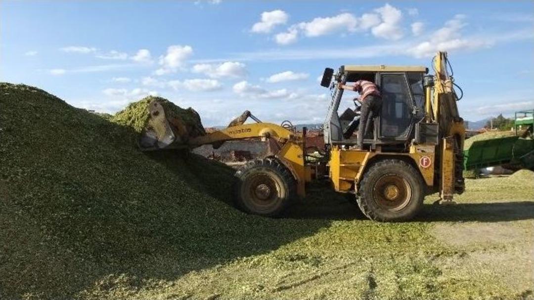 Burhaniye&rsquo;de Mısır Silajına Ambalaj Kolaylığı