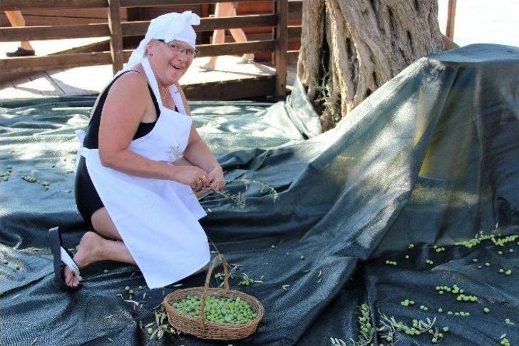 Turistler Tatili Bırakıp Zeytin Topladı G4