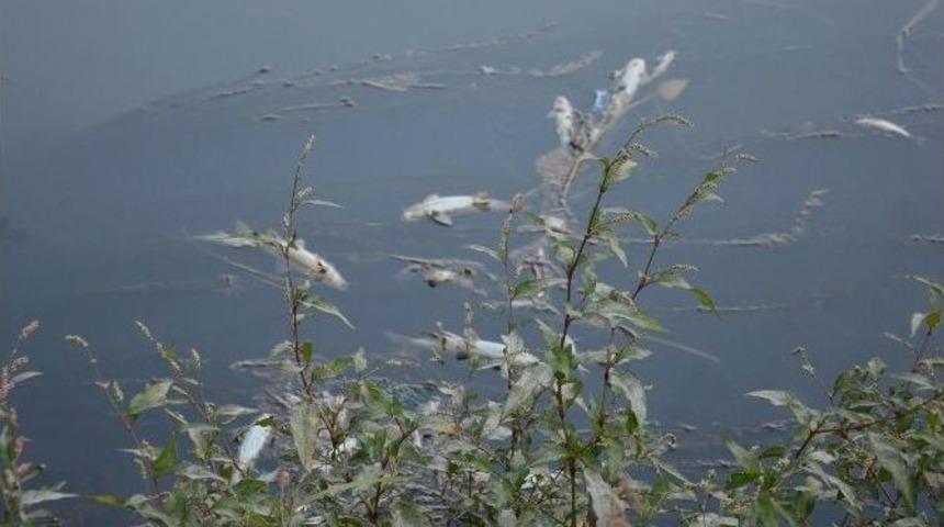 İha&rsquo;nın Haberi Yetkilileri Harekete Ge&ccedil;irdi