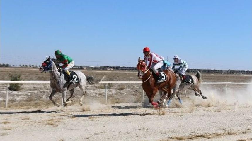 Konya&rsquo;da Mahalli 24. Geleneksel Safkan Arap Ve İngiliz At Yarışları Ger&ccedil;ekleştirildi