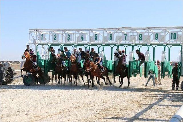 Konya’da Mahalli 24. Geleneksel Safkan Arap Ve İngiliz At Yarışları Gerçekleştirildi