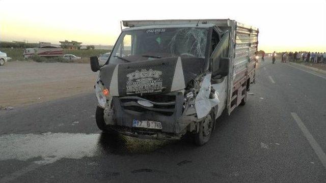 Şanlıurfa’da Trafik Kazası: 7 Yaralı