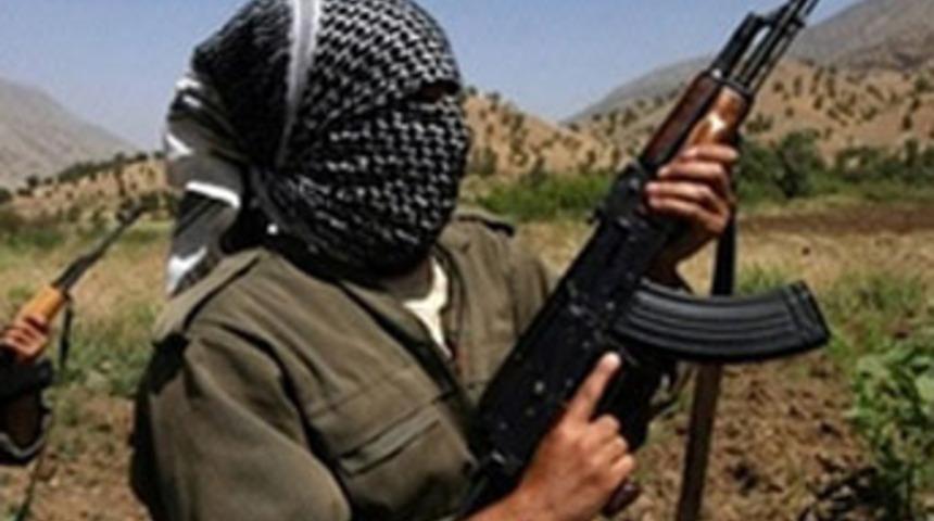 PKK, Bitlis&rsquo;te 2 iş&ccedil;iyi ka&ccedil;ırdı