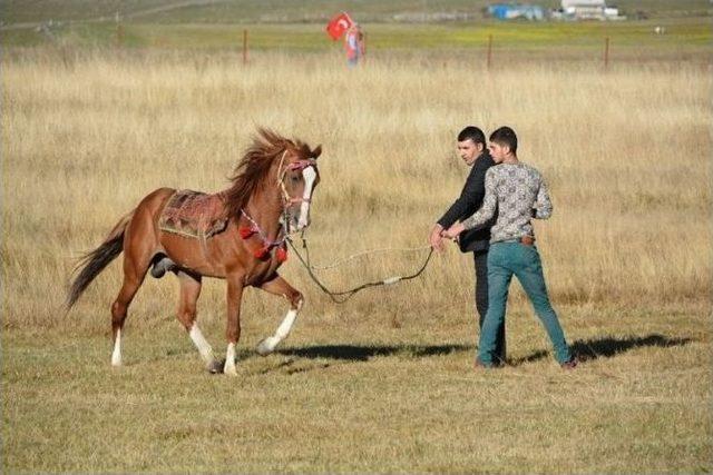 Rahvan At Yarışları Türkiye Şampiyonası Ardahan’da Yapıldı