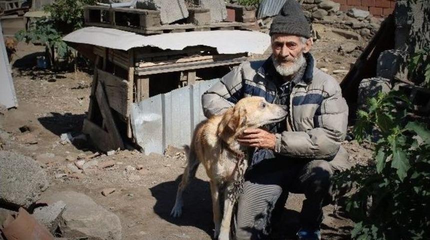 (&ouml;zel Haber) Evini Hayvanat Bah&ccedil;esine &Ccedil;evirdi