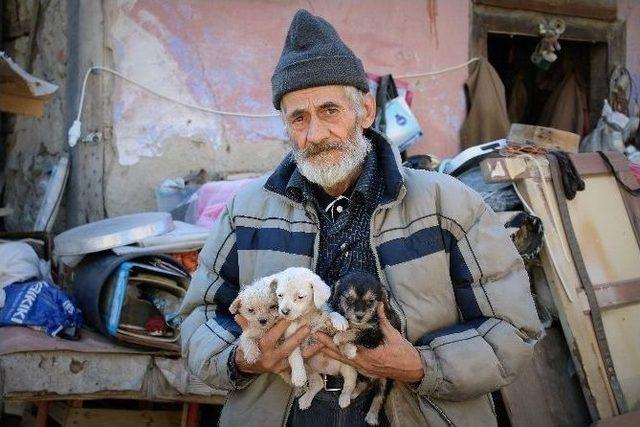 (özel Haber) Evini Hayvanat Bahçesine Çevirdi