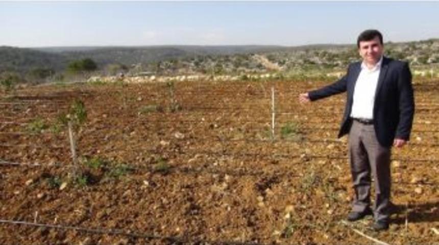 Akdoğan: &ldquo;milli Tarım Projesi, &Ccedil;ift&ccedil;iye Can Suyu Olacak&rdquo;