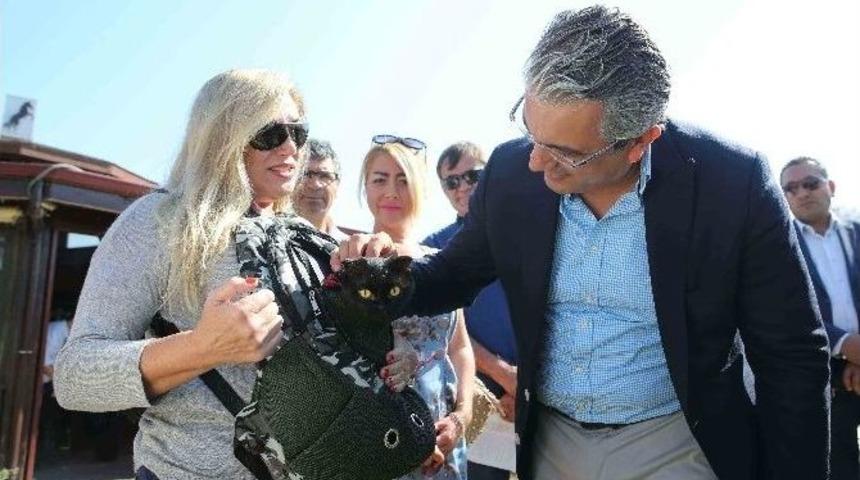 Hayvanseverler Patifest&rsquo;te Buluştu