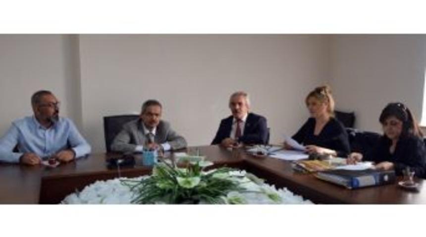 Orhangazi&rsquo;de Zeytin Festivali