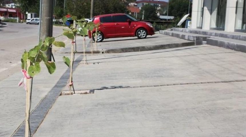 Her Daireye Bir Otopark Ve Ağa&ccedil; Dikme Zorunluluğu