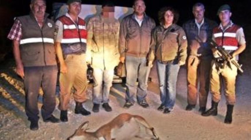 Yaban Ke&ccedil;isi Vuran Avcıya 12 Bin 965 Lira Ceza